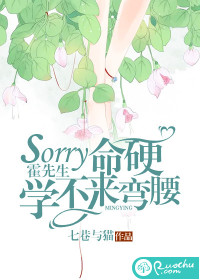 sorry霍先生