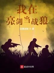 我在亮剑当战狼精校版