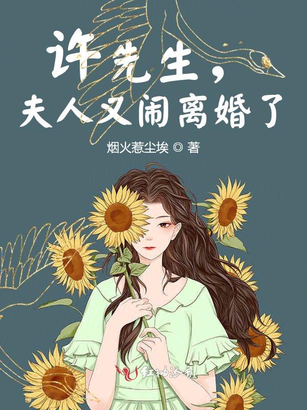 夫人又闹离婚了小说