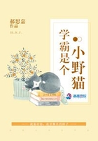 学霸是个小野猫