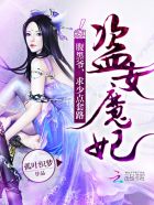 盗女魔妃:腹黑爷