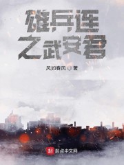 雄兵连之武安君txt下载