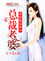 我的老婆是冰山女总裁沈浪免费