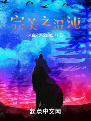 完美之混沌