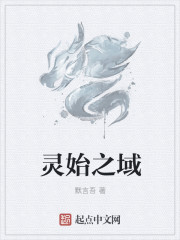 海贼:没有正义