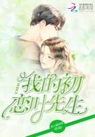 我的初恋叶先生