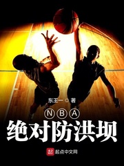 NBA绝对防洪坝TXT全本下载