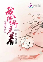 清穿后我得娇宠着