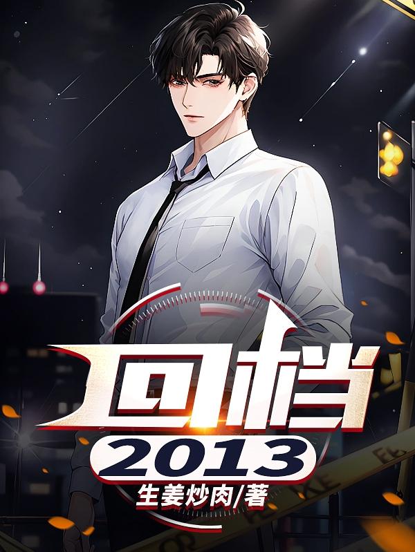 回档：2013