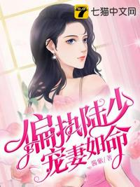 偏执陆少宠妻如命_