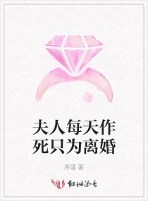 夫人每天都在闹离婚 小说