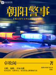 朝阳警事小说主要讲什么