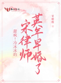 甜疯!冷冰冰的宋律师英年早婚了免费版