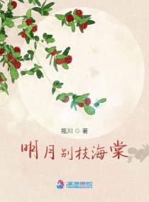 揽明月海棠