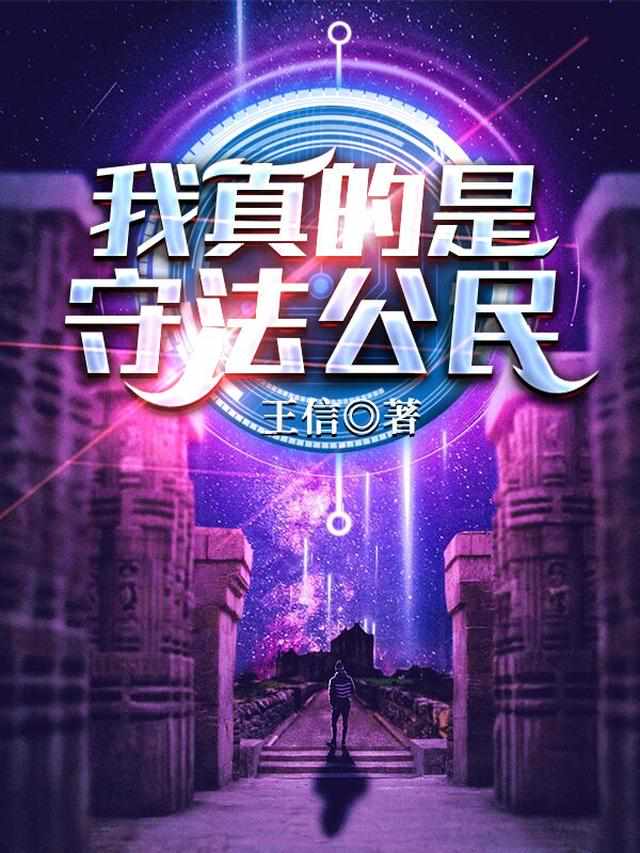 我真的是守法公民正版