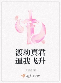 渡劫后飞升上仙的小说