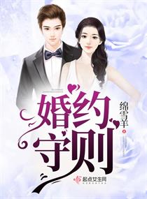 《婚约》 小说