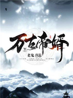 万古帝婿夜玄在哪可以看完结版