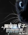 黑猫子是什么