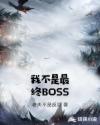 我不是最终BOSS