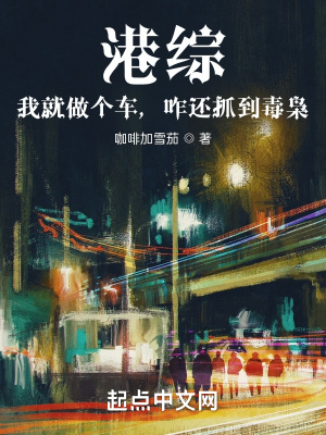 港综警察类小说