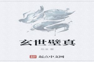 玄壁什么意思