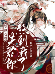 穿越女尊:我的绝色夫君们