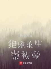 绝境求生崇祯帝作者:小波不停