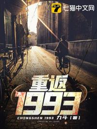 重返1993小说