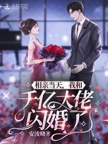 我和千亿大佬闪婚了安凌晓