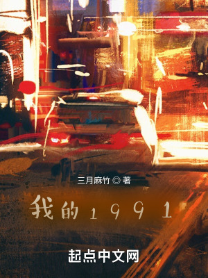 我的1991顶点