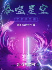 吞噬星空之血脉之路 小说