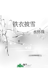 铁衣披雪20章