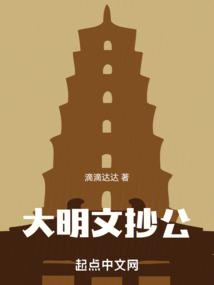 大明文抄公小说