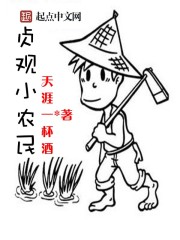 贞观小农民免费阅读