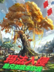 法师传奇3:玛法入侵怎么过