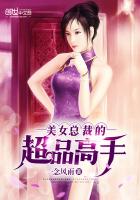 美女总裁的超品高手TXT