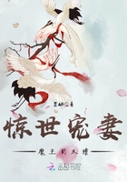 惊世魔后魔君宠妻无度