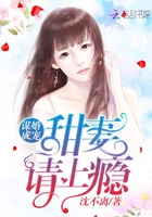 谋婚成宠:甜妻