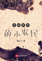 大时代中的小农民214