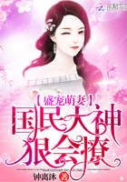 盛宠之国民女神是网红 小说