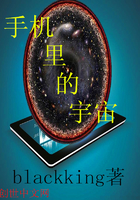 手机里的宇宙TXT