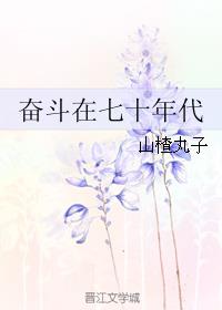 奋斗在七十年代 许秋阳