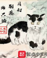 别惹猫咪:追捕虐猫者