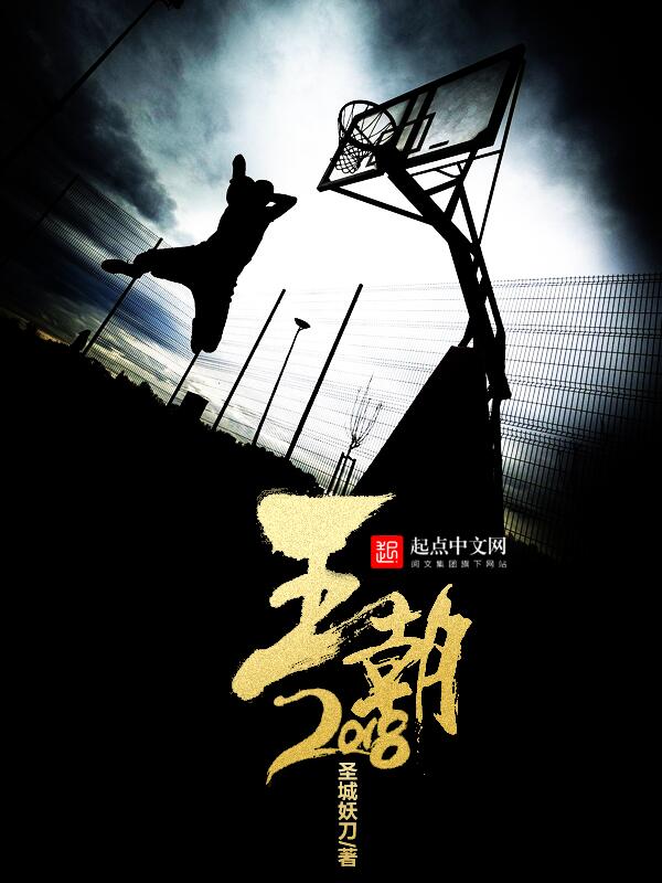 王朝2008干红多少钱