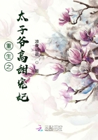 重生太子爷宠妃记作者:墨色浅叶类型: 原创-纯