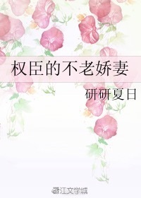 权臣之妻 作者:木妖娆