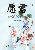 愿我如君君如月