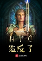 npc的反击小说