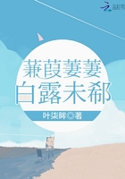 蒹葭萋萋白露未晞读音